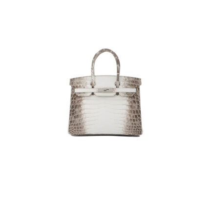 Hermès Birkin 30 Himalayan