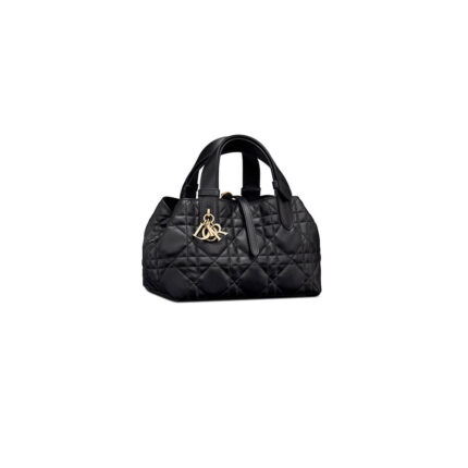 SMALL DIOR TOUJOURS BAG