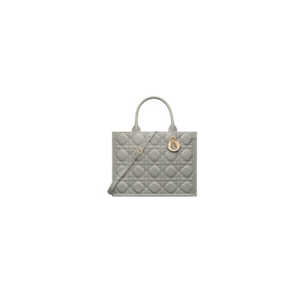 Dior Medium Dior Book Tote
