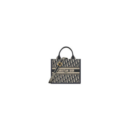 Small Dior Book Tote