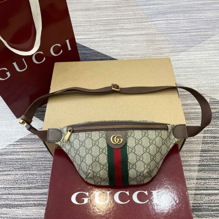 Gucci GG Ophidia Bags